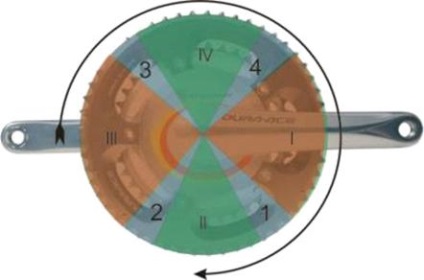 Tehnica cadenței circulare