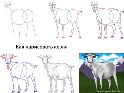 Învățând să desenezi o capră