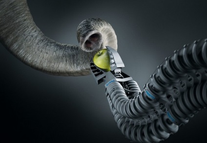 Csodálatos Gadgets protézisek állatoknak