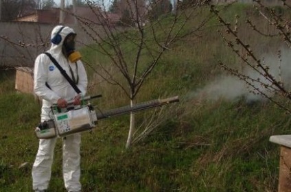 Distrugerea de muște dezinfectarea spațiilor de la muște în Moscova și regiune