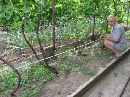 Gondozása szőlő kora tavasszal (tél után) feldolgozása, permetezés, metszés video