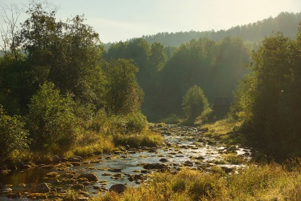 Veps Forest, kykyryzo (föld és a természet) Veps Forest, kykyryzo