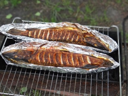 Пайк вкусна скара, готвене блог Татяна м