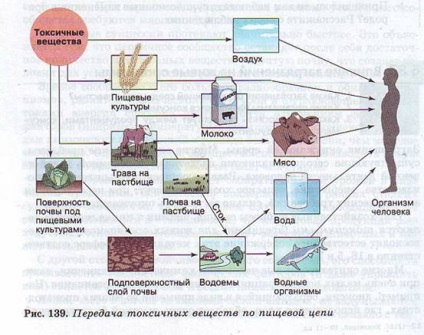 A hatás a szennyezés élőlényekre