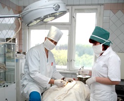 Departamentul chirurgical, Spitalul Regional Kiev №2