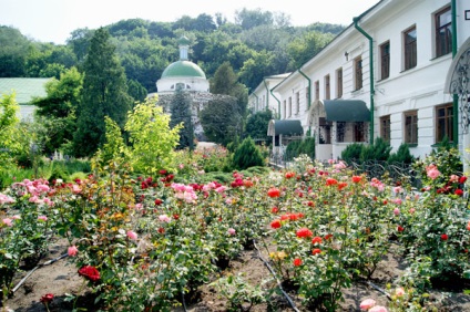 Temple ale tivului