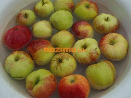 Suc de mere pentru rețeta de iarnă - foto prin intermediul storcătorului de fructe