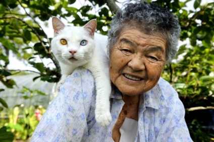 Mama bunică japoneză și pisica ei fukumaru