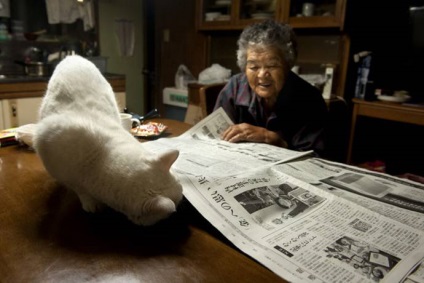 Mama bunică japoneză și pisica ei fukumaru