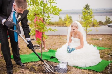 De ce trebuie să-și planteze un copac de familie