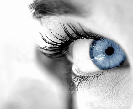 Conspirații pentru bolile oculare, baze de informație
