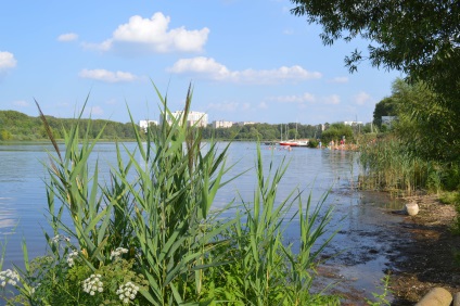 Căldura continuă! Unde să înotați în Solnechnogorsk și în zona înconjurătoare Lake Senezh