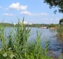 Căldura continuă! Unde să înotați în Solnechnogorsk și în zona înconjurătoare Lake Senezh