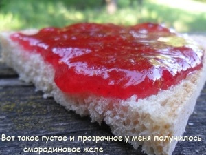 Jelly din coacăz roșu (poricek)