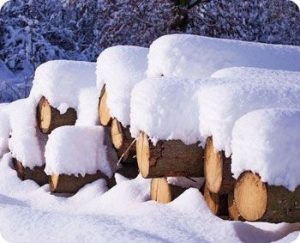 Construcția de iarnă a unei case din lemn - toate plusurile și minusurile