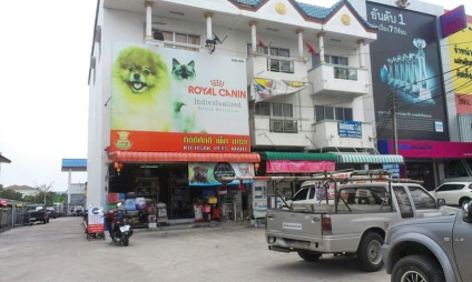 Pet shop în Pattaya pe sukhumvite, viața post-rusă în Asia