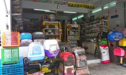 Pet shop în Pattaya pe sukhumvite, viața post-rusă în Asia