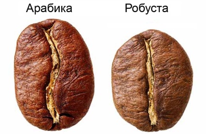 5 страни, където те правят най-доброто кафе в света