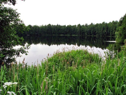 8. Mystic Lakes Mari El 2016 júliusáig fotó, hírek Joskar-Ola és a Mari El (tavak) 8. Mystic Lakes Mari El 2016 júliusáig képek, hírek Joskar-Ola és a Mari El
