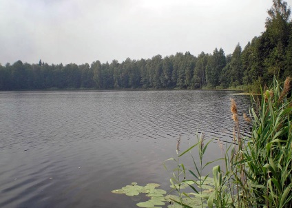 8 Lacuri mistice Mari El iulie 2016 fotografii, știri Yoshkar-Ola și Mari El
