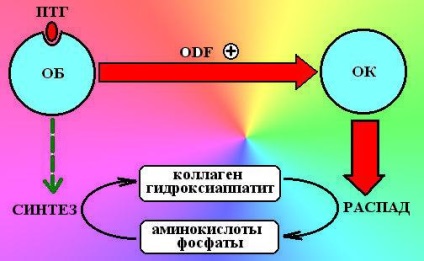 Analogi ai hormonului paratiroidian