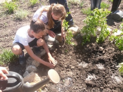Realizarea teritoriului școlar în mkou - Nikolskaya-1 sosh - rapoarte - experiență de lucru