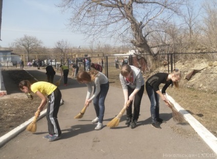 Realizarea teritoriului școlar în mkou - Nikolskaya-1 sosh - rapoarte - experiență de lucru