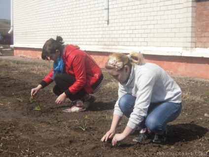 Realizarea teritoriului școlar în mkou - Nikolskaya-1 sosh - rapoarte - experiență de lucru