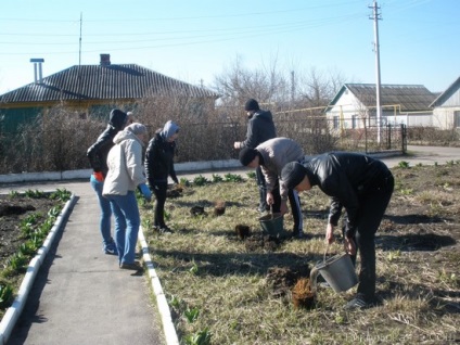 Realizarea teritoriului școlar în mkou - Nikolskaya-1 sosh - rapoarte - experiență de lucru