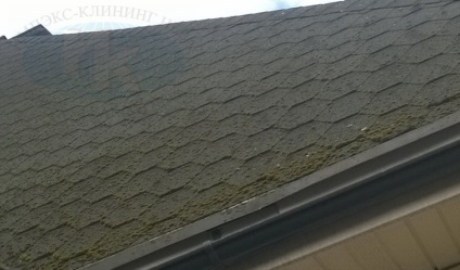 Curățarea acoperișurilor, curățarea acoperișului moale al mușchiului, neva de curățare impex