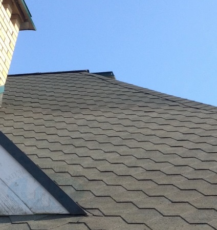 Curățarea acoperișurilor, curățarea acoperișului moale al mușchiului, neva de curățare impex