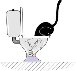Ce face o pisică atunci când o societate de cunoaștere secretă se uită în toaletă