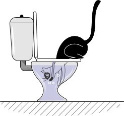 Ce face o pisică atunci când o societate de cunoaștere secretă se uită în toaletă