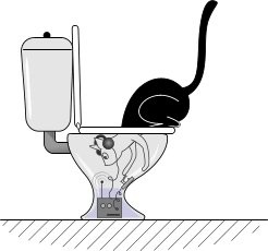 Mitől lesz egy macska, ha a WC néz társadalom titkos tudás