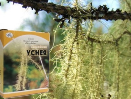 Ce vindecă pentru ushney - un lichen barbă