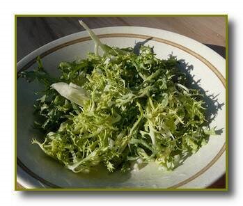 Salata de chicory - salata de vitamine - retete de bucatarie spaniola