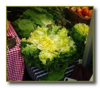 Salata de chicory - salata de vitamine - retete de bucatarie spaniola