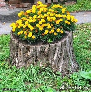 Így az eredeti váza virágok