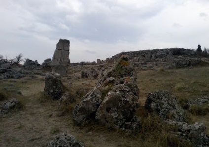 Tabăra de copii Kamchia - copii portocalii