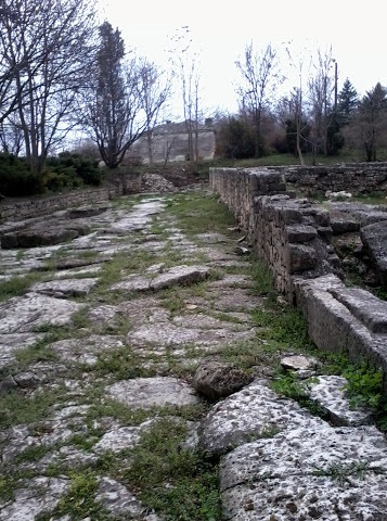 Tabăra de copii Kamchia - copii portocalii