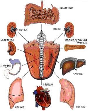 Diagnosticarea după limbă