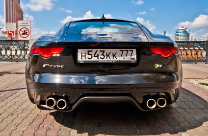 Pisică sălbatică jaguar coupe tip f