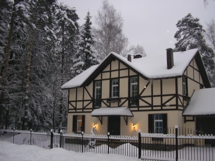 Case în stil german