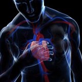 Avansuri în medicina cardiovasculară - Scalpel - Medical