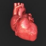 Eredmények terén a szív- és érrendszeri gyógyszer - a szike - Orvosi