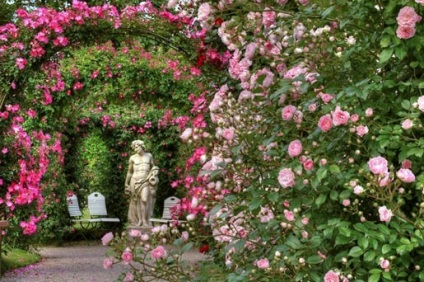 Atracții în Austria, grădina de trandafiri din Baden