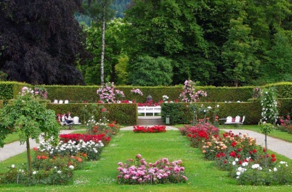 Atracții în Austria, grădina de trandafiri din Baden