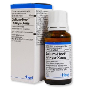 Galium Hel - instrucțiuni de utilizare, picături homeopate
