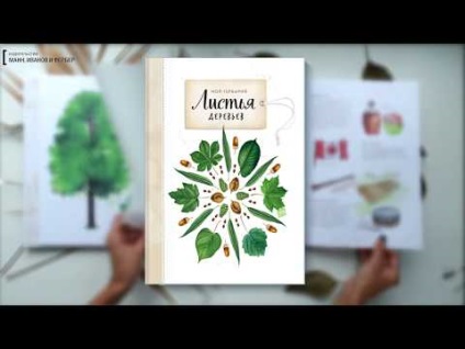 Herbarium pe botanică, practică, farmacognosie pe