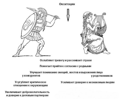 Hormonul oxitocină, care mărește bunăvoința feminină și agresivitatea masculină - ajustare